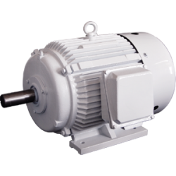 Design D nema motor (owp motor)